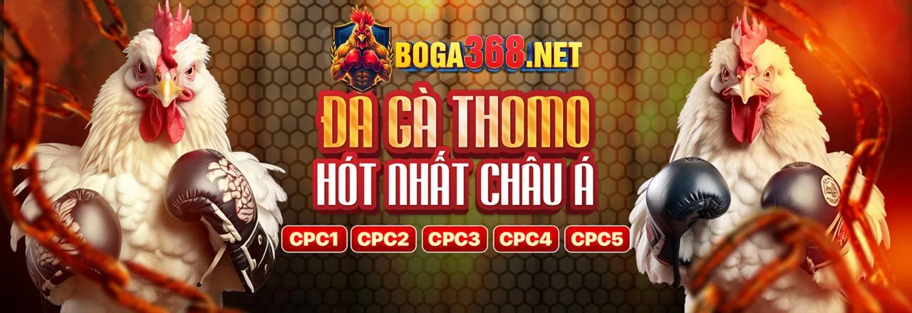 Đá Gà Trực Tuyến Sống Động tại vipwin777 link mới
